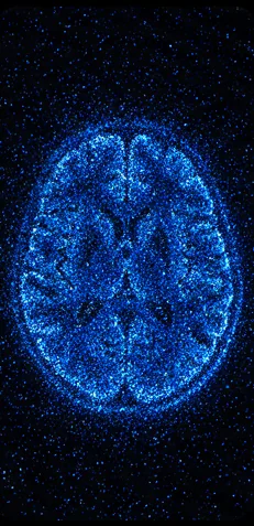 Step 3: a brain slice emerging